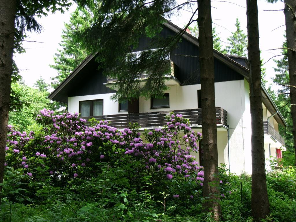 Haus Hirschmann Hotel Goslar Eksteriør billede